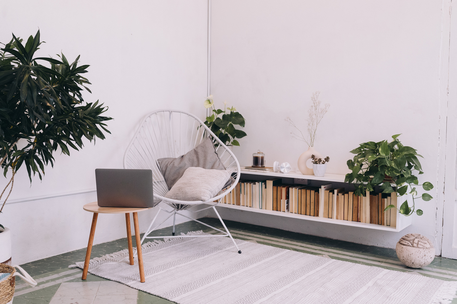 Interior of a Home Office with Plants