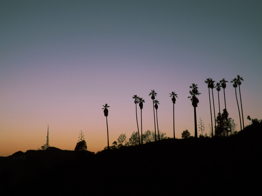 Silhouette Photo of Line Palm Trees